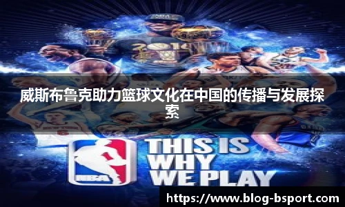 B体育官网