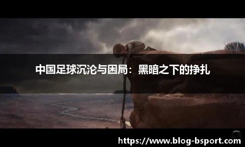 B体育
