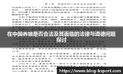 B体育网址