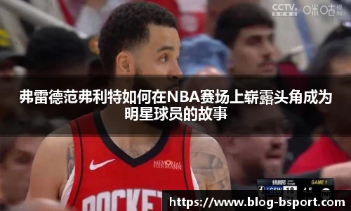 B体育网址