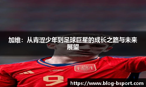 B体育